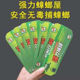 白蚁引诱剂